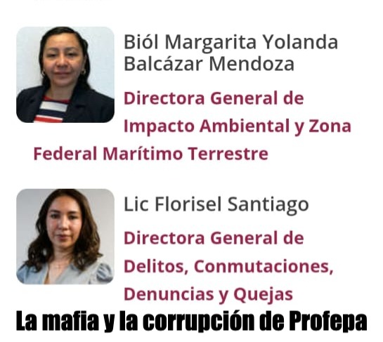 ¿Qué está pasando con Profepa en Mandarina y Costa Canuva? Las corruptas Margarita Balcázar y Florizel Santiago cómplices de la destrucción&nbsp;ambiental.