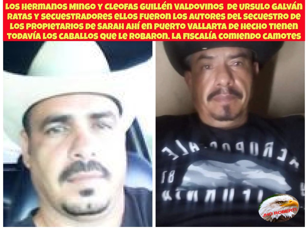 Los cabecillas del Mencho y sus sicarios en Nayarit, laboratorios, extorsiones, homicidios, secuestros, despojos y&nbsp;más.