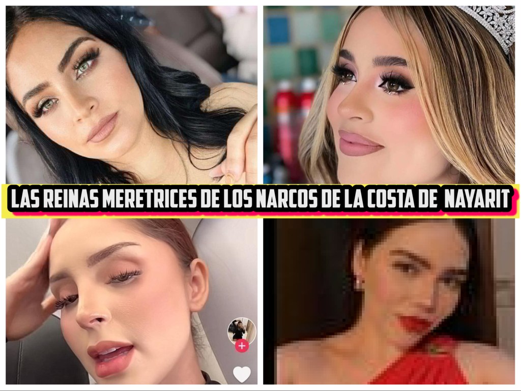 La mafia de la costa de Nayarit: Los sicarios del Fresa y sus&nbsp;meretrices