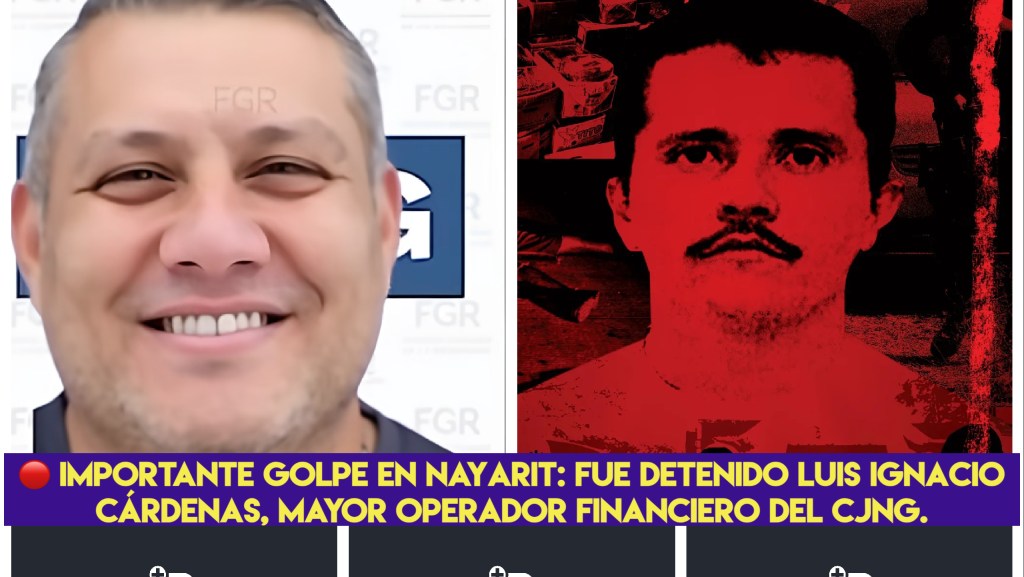 Detrás del dinero del CJNG: la captura de Luis Cárdenas y su red de protección en&nbsp;Nayarit.